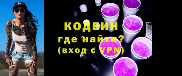 крисы Абаза