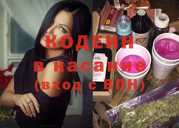 крисы Абаза