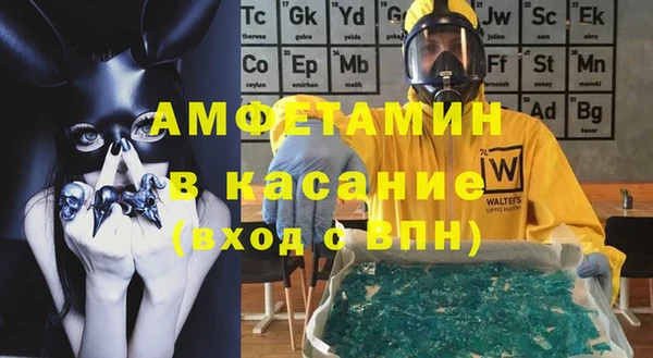крисы Абаза